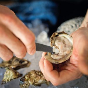 Certified to offer the First and Only BAP Four-Star Oysters in the World!